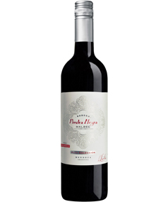 Piedra Negra Alta Coleccion Malbec