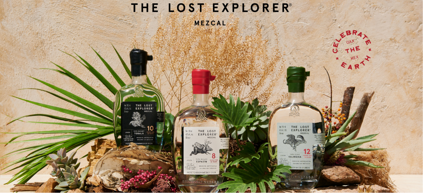 The Lost Explorer